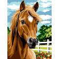 Canevas 40/50 -Cheval - 150