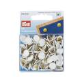 Punaises calotte recouverte celluloid blanc - 17