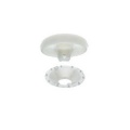 Bouton/recouvrir 19mm plastique blanc carton 100 - 17
