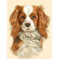 Canevas antique Luc 32/50 - Chien Cavalier King - 47