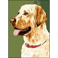 Canevas antique Luc 32/50 - Chien Labrador - 47