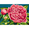 Canevas antique Luc 32/50 - Fleurs de pivoines - 47