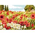 Canevas antique Luc 32/50 - Champs de coquelicots - 47