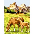Kit Canevas Luc blanc 25/30cm - Cheval et poulain - 47