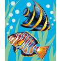 Kit Canevas Luc blanc 25/30cm - Poissons - 47