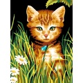 Kit Canevas Luc blanc 25/30cm - Le chat dans l'herbe - 47