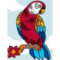 Kit Canevas Luc blanc 25/30cm - Perroquet oiseau rouge - 47