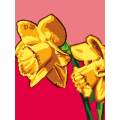 Kit Canevas Luc blanc 25/30cm - Fleur jonquilles - 47
