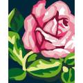 Kit Canevas Luc blanc 25/30cm - Roses en fleur - 47