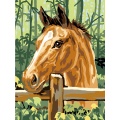 Kit Canevas Luc blanc 25/30cm - Cheval à la barrière - 47