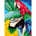 Kit Canevas Luc blanc 25/30cm - Oiseaux duo de perroquet - 47