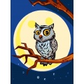 Kit Canevas Luc blanc 25/30cm - Hibou oiseau - 47