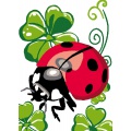 Kit Canevas Luc blanc 25/30cm - Coccinelle - 47
