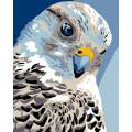 Kit Canevas Luc blanc 25/30cm - Oiseau Perruche - 47