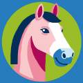 Kit soudan blanc cheval laine acrylique - 47