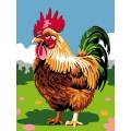 Kit Canevas Luc blanc 20/25cm - coq - 47