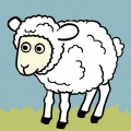 Kit canevas soudan enfant mouton - 47