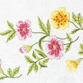 Lot 2 ovale 25/35 100%coton blanc - 47