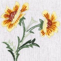 Lot 2 ovale 25/35 100%coton blanc - 47