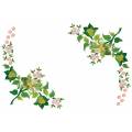 Lot 2 ovale 25/35 100% coton blanc - 47