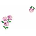 Lot 2 ovale 25/35 100% coton blanc - 47