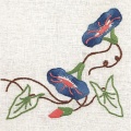 Lot 2 rond 20/20 100%coton blanc bd - 47