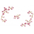 Lot 2 rond 20/20 100% coton bd - 47