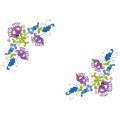 Rond 40/40 100%coton blanc - 47