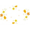 Rect 50/100 100% coton blanc bd - 47