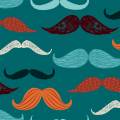 Tissu Dashwood Esquires - 476
