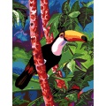 Canevas 45 x 65 cm - Coco le toucan(Marchi) - 55