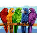 Canevas 45 x 65 cm - Oiseaux haut en couleurs - 55