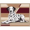 Canevas 65/80 - dalmacien - 55
