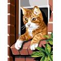 Canevas 30/40 - chat roux - 55