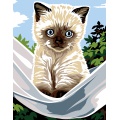 Kit canevas pénélope blanc - Le chat dans le hamac - 55