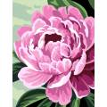 Kit canevas p&eacute;n&eacute;lope blanc -pivoines - 55