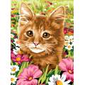 Canevas le champ du chat - 55