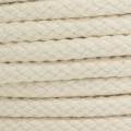 Cordon coton de 5,5 mm &eacute;cru - 56