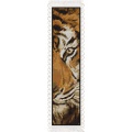 Kit - Marque-pages - Tigre - 64