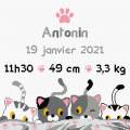 Kit - Tableau de naissance - Petits chats - 64