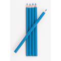 Crayon craie gm pointe large bleu - 70