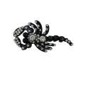 Bijou à coudre scorpion- 11,5 x 7 cm - 70