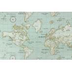 Tissu Fryett's enduit maps - 492