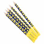 Crayon craie "Dolce Vita" citrons - blanc x5 - 70