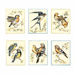 Lot de 6 kits canevas - Oiseaux - 150