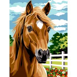 Canevas 40/50 -Cheval - 150