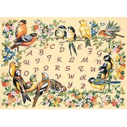 Canevas 45/60 antique alphabet oiseaux - 150