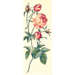 Canevas 25/60 - Rose, la fleur - 150