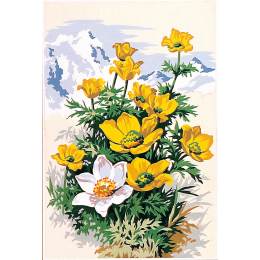 Canevas 30/40 - Fleurs Pustille des Alpes - 150