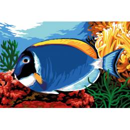 Canevas 30/40 - Le poisson"Chirurgien bleu" - 150